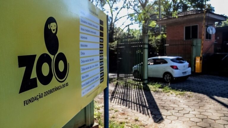 Zoológico no RS reabre com entrada gratuita após foco de gripe aviária