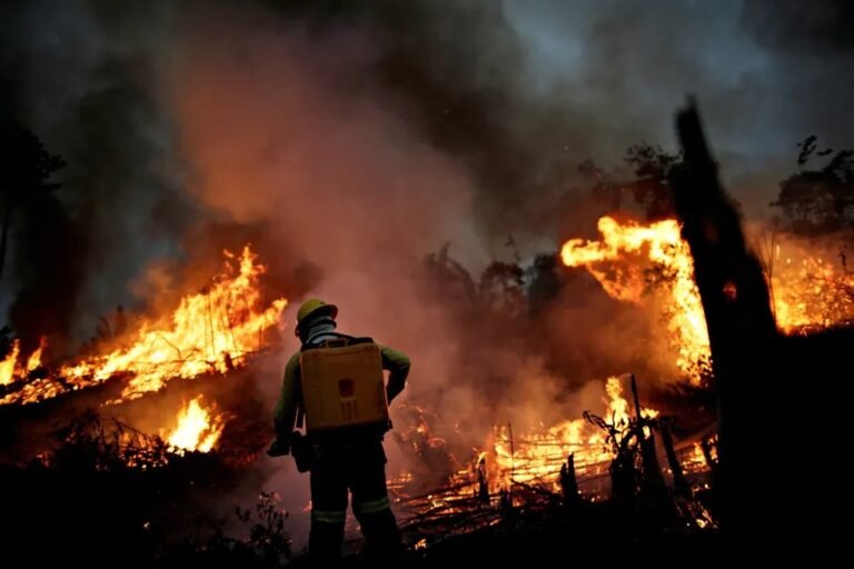 Queimadas no Amazonas caem 82% em agosto de 2025 em relação a 2024, aponta Inpe