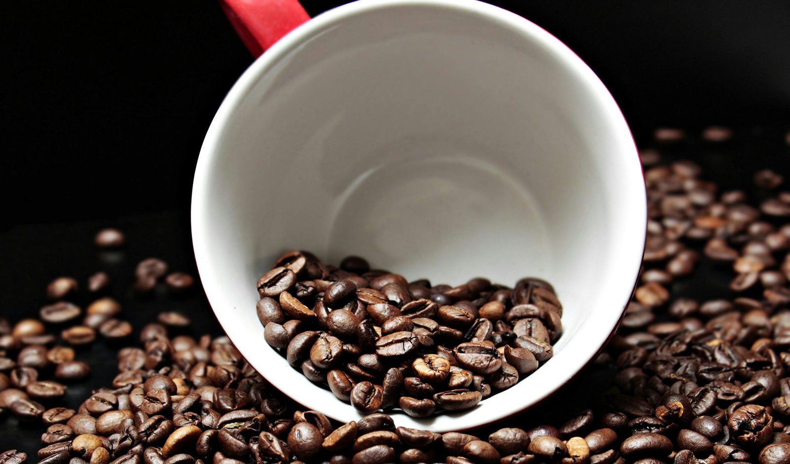 secretario-dos-eua-diz-que-produtos-nao-cultivados-no-pais,-como-o-cafe,-poderiam-ter-tarifa-zerada
