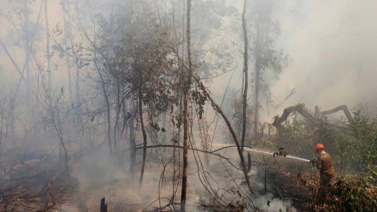 fogo-em-mata-assusta-moradores-da-zona-oeste-do-rio
