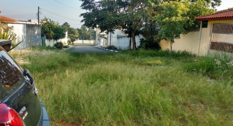 moradores-precisam-transcorrer-mato-para-entrar-em-parentes-em-suzano