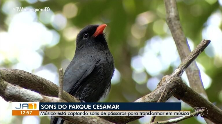 videos:-gazeta-anhanguera-1a-edicao-–-to-de-sabado,-16-de-agosto-de-2025