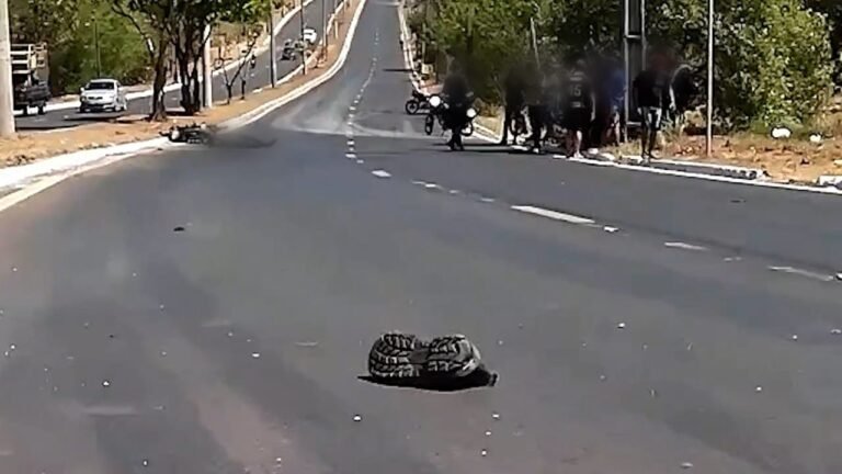 adolescente-de-21-anos-morre-em-seguida-extraviar-dominio-de-moto-em-avenida-e-obter-coluna