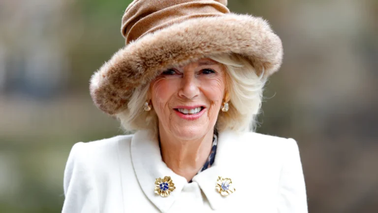 rainha-camilla-teria-noticia-sapatada-para-se-apoiar-de-assedio-em-trem