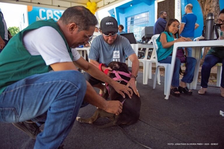 Vacinação antirrábica para cães e gatos ocorre em 19 pontos neste sábado em Boa Vista; veja quais