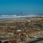 Barra de Maricá promove mutirão de limpeza de praia neste sábado