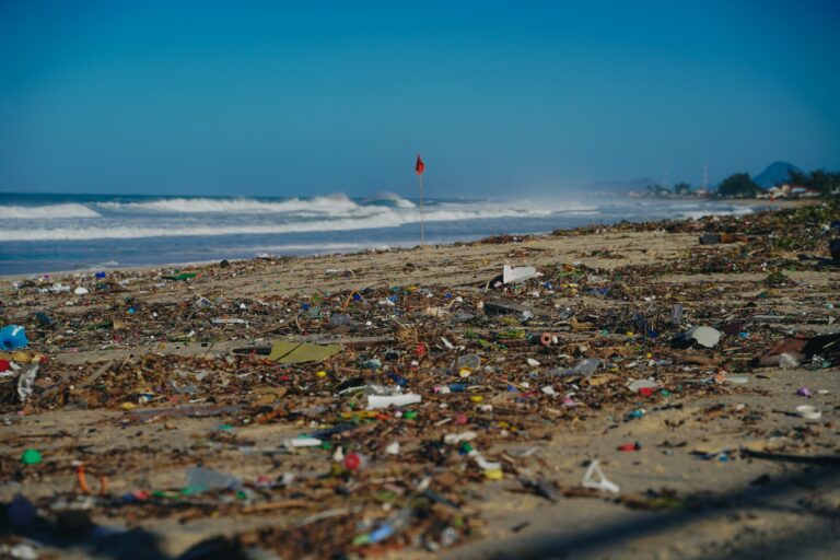 Barra de Maricá promove mutirão de limpeza de praia neste sábado