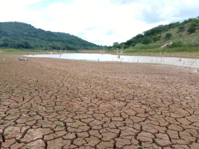 B-R-O Bró: Municípios do Piauí devem registrar temperaturas acima de 38 °C; confira previsão