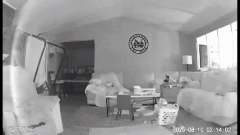 Caminhonete invade casa nos EUA e quase atinge crianças que dormiam na hora do acidente; VÍDEO