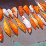 Mais de 50 peixes de lago dentro de Pronto Atendimento morrem de uma vez só em Londrina, e caso passa a ser investigado