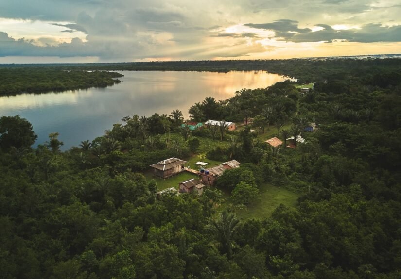 Amazonas prepara agenda com projetos de bioeconomia, conservação e sustentabilidade para COP 30
