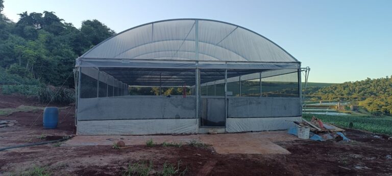 Projeto inédito de criação de rãs ganha força com apoio da Cresol Progresso