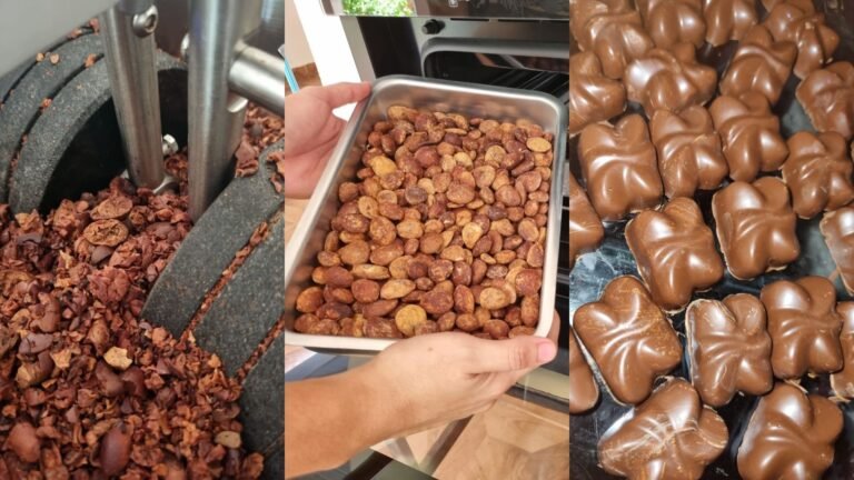 Doce feito com caroço de cupuaçu leva startup do Amapá à final da Expo Favela Innovation