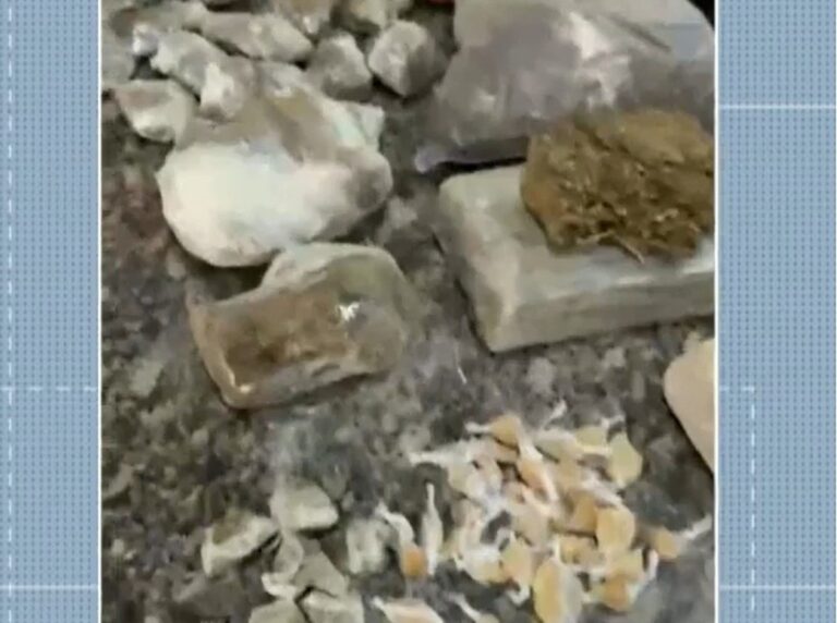 Polícia Civil prende suspeito e apreende drogas em operação “Caixa de Esgoto” em Santo Antônio de Pádua