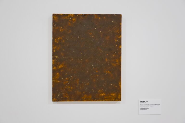 Quadro exposto em Curitiba usa fezes para discutir falsificação de obras de arte: 'Adoro que cada um reaja de forma distinta', diz artista