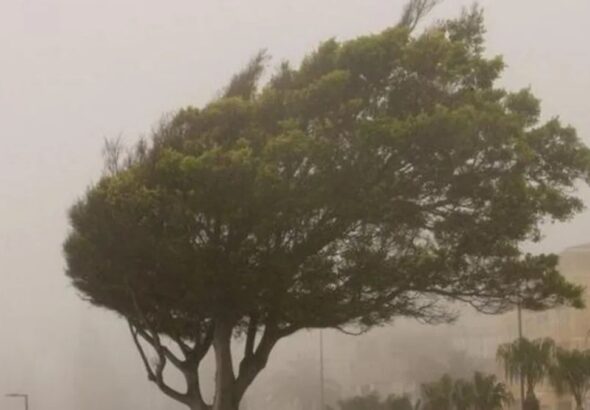 Ciclone pode provocar ventos de mais de 80 km/h no Paraná, diz Simepar; veja previsão do tempo por região