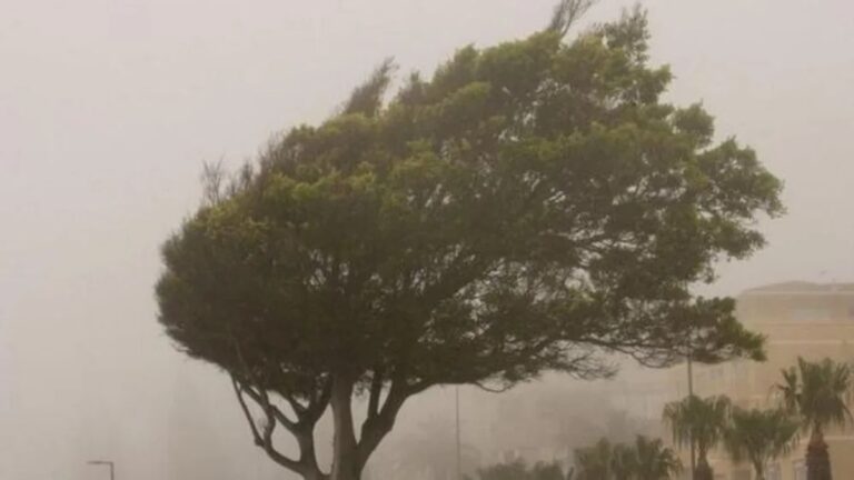 Ciclone pode provocar ventos de mais de 80 km/h no Paraná, diz Simepar; veja previsão do tempo por região