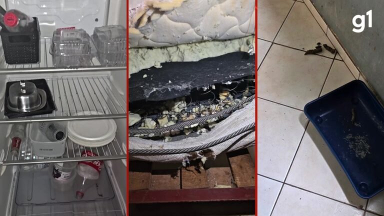 Ex-atriz é encontrada em situação de vulnerabilidade com sete animais em apartamento de Porto Alegre
