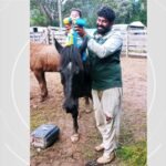 Bebê foi pisoteado em rodeio no Paraná após boi invadir local onde pais do menino estavam trabalhando