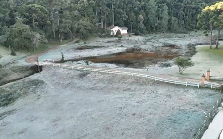 FOTOS: geada e temperatura negativa criam paisagens de inverno pelo 2º dia consecutivo no Sul de Minas