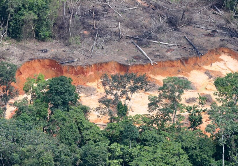 MPF recomenda que Ibama proíba totalmente uso de mercúrio para mineração na Amazônia