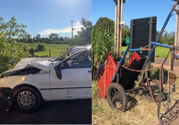Carro bate em carroça na rodovia, cavalo morre e três pessoas ficam feridas, no PR