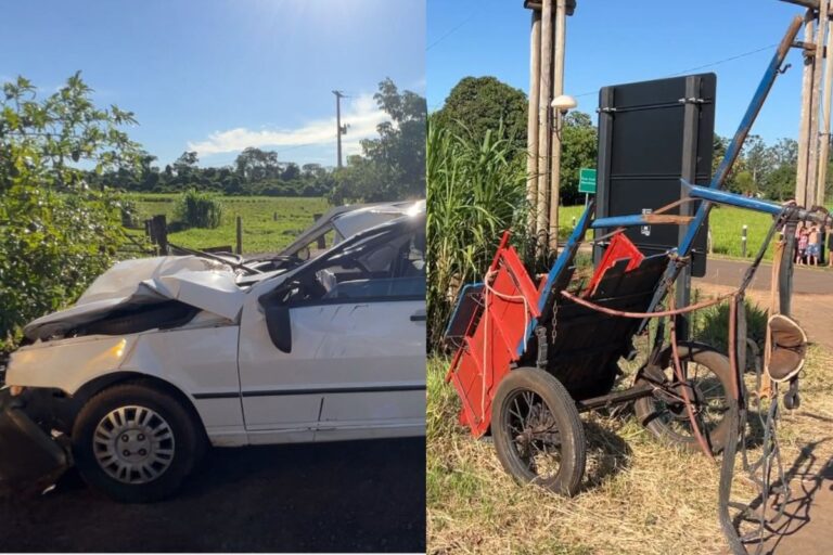 Carro bate em carroça na rodovia, cavalo morre e três pessoas ficam feridas, no PR