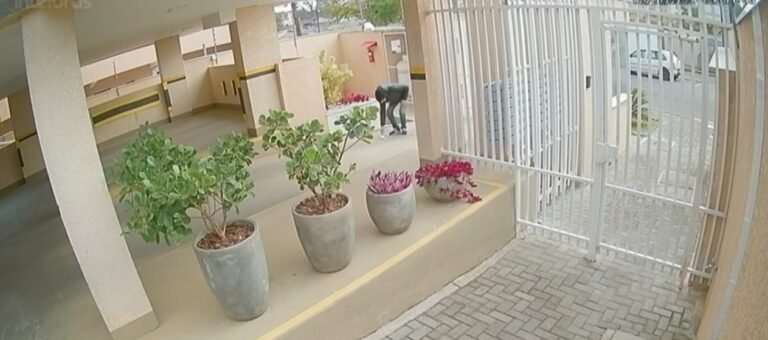 Vídeo mostra vizinho encontrando bilhetes com pedido de socorro jogados por mãe e filha em cárcere privado no Paraná: 'Achei que era lixo'