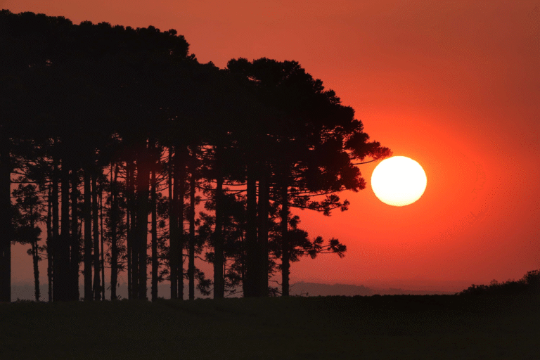 Calor intenso e instabilidade marcam início de setembro no Paraná, diz Simepar; veja previsão