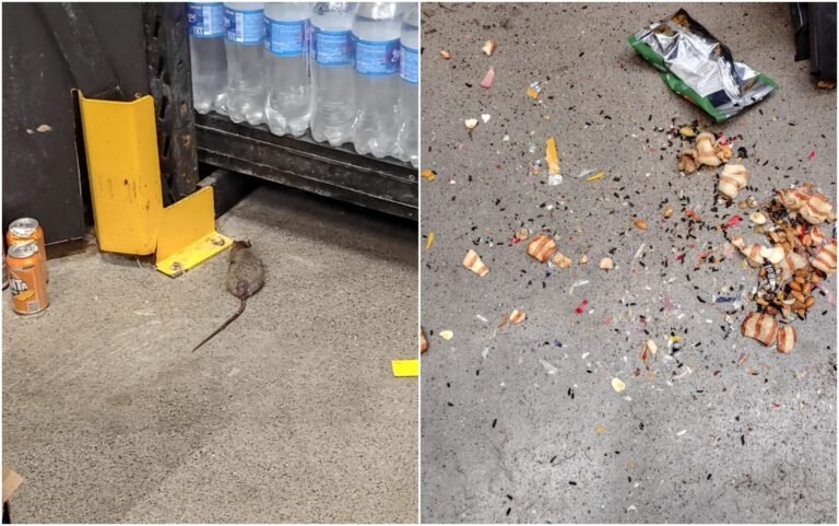 Vigilância Sanitária autoriza reabertura de supermercado após flagrante de irregularidades em Pouso Alegre, MG