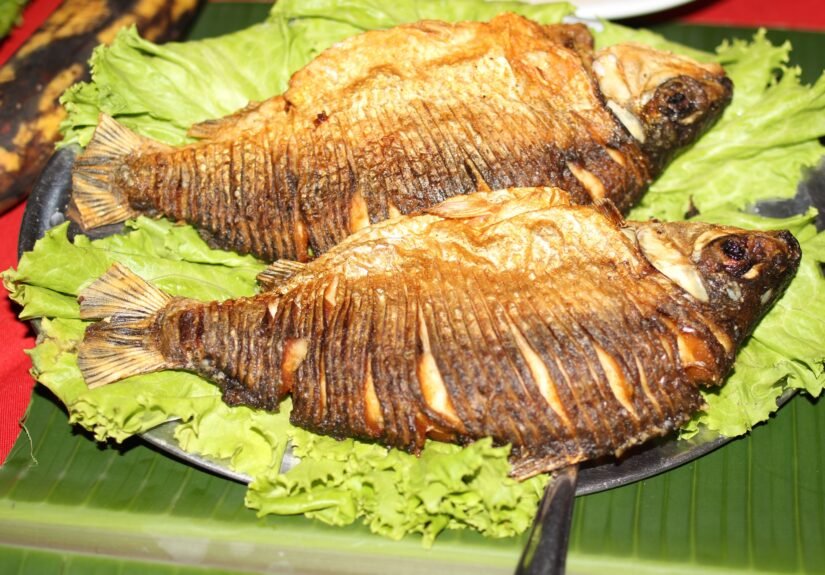 Festival do Jaraqui: evento reúne  cultura, fé e culinária amazônica