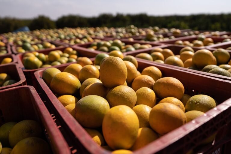 Cerca de 30% das exportações de Sergipe vão para os EUA, aponta levantamento