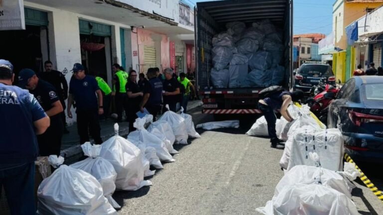 Operação apreende 520 sacos de produtos falsificados em comércios no litoral do Piauí