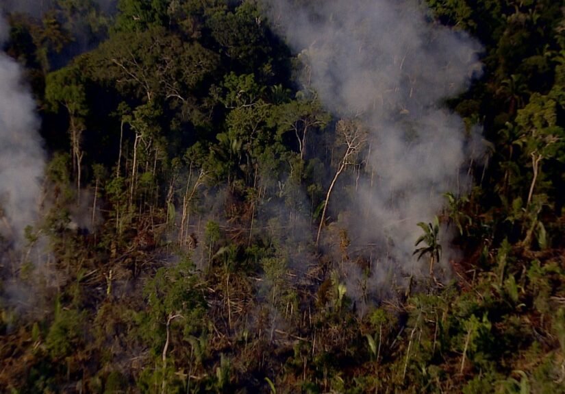 Amazonas tem queda de quase 67% nos focos de calor no primeiro semestre de 2025
