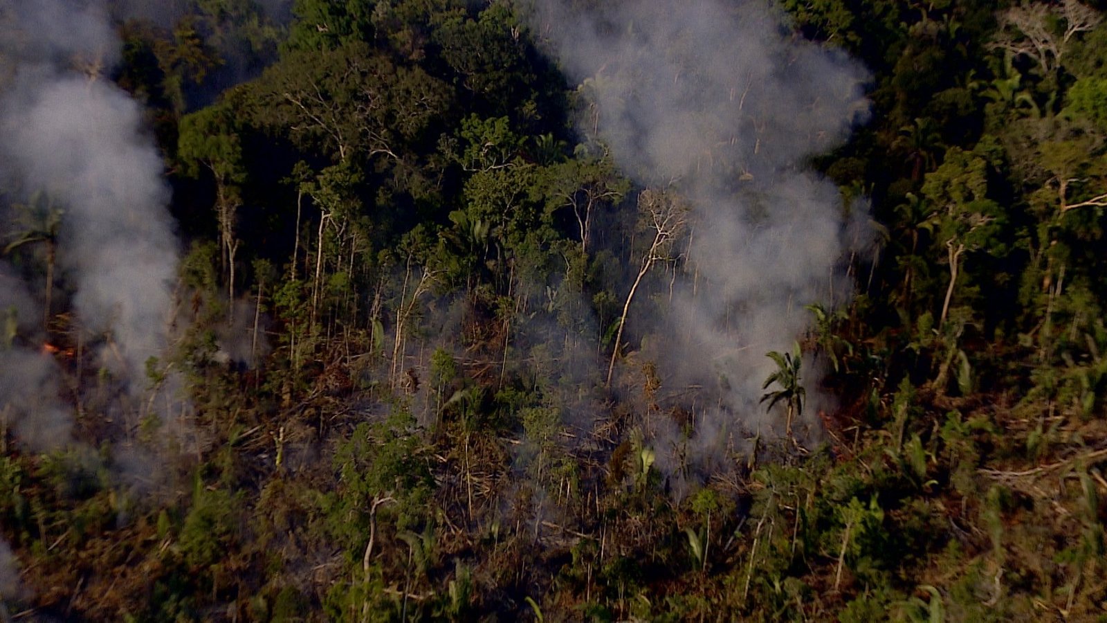Amazonas tem queda de quase 67% nos focos de calor no primeiro semestre de 2025