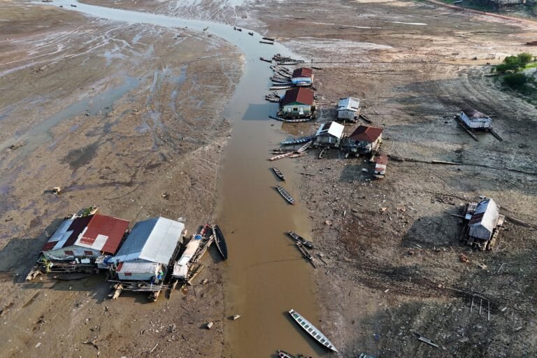 Desmatamento já responde por 75% da perda de chuva na Amazônia, aponta estudo