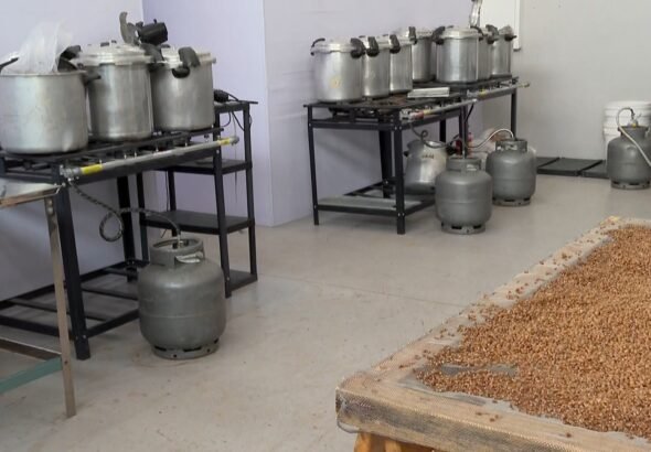Galpão no Paraná era usado para cultivar, desidratar e embalar 'cogumelos mágicos', diz polícia