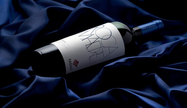 5 vinhos chilenos muito premiados que você precisa conhecer