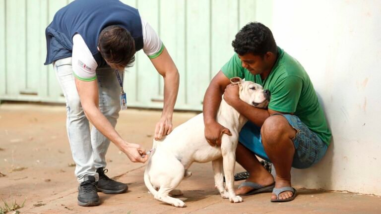 Moradores do Santa Rita I e Morrinhos, em Montes Claros, devem vacinar cães e gatos contra a raiva