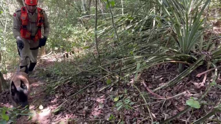 Justiça decide manter arquivado inquérito sobre desaparecimento de Ana Sophia