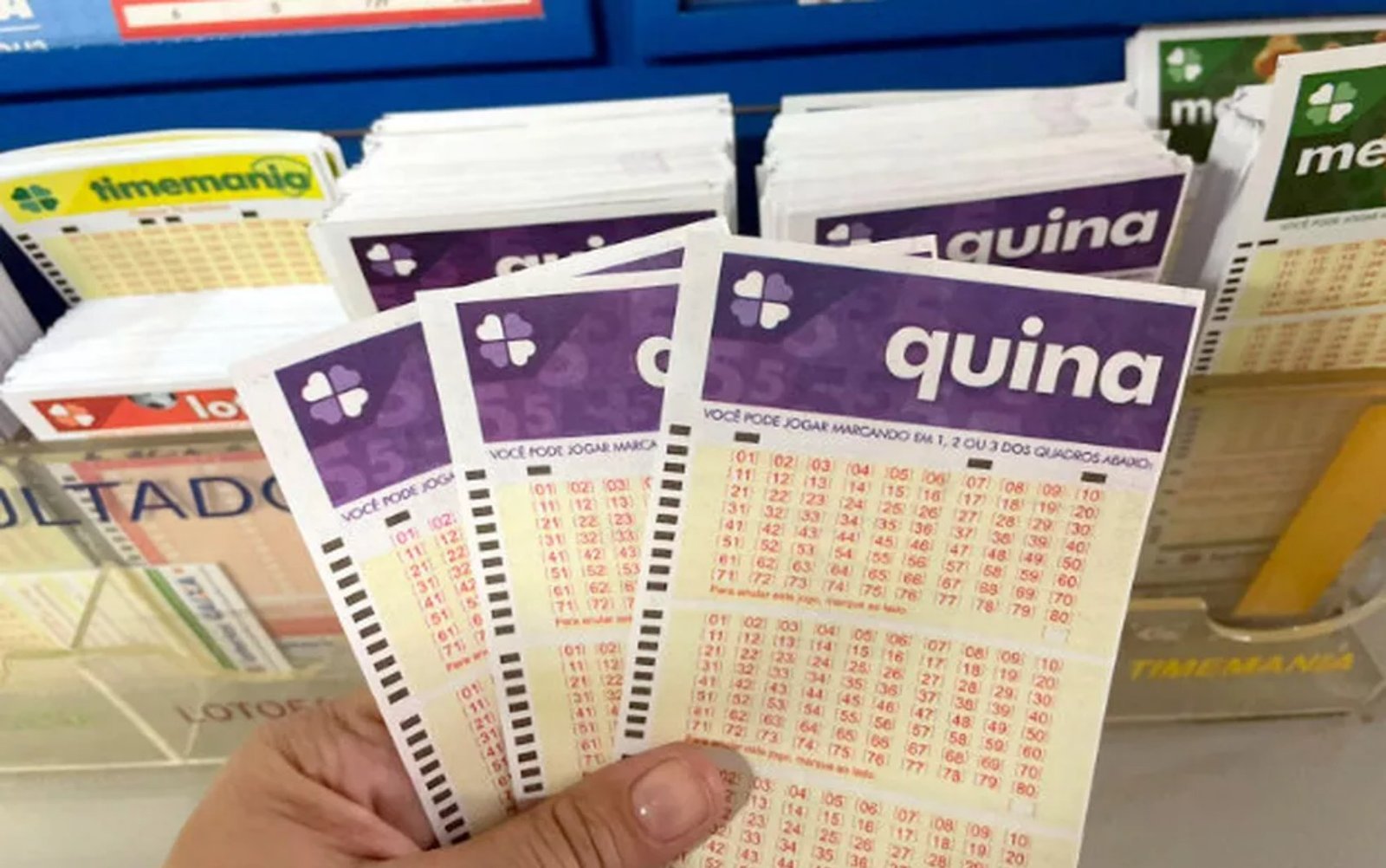 Quina hoje: resultado do concurso 6785 e números sorteados