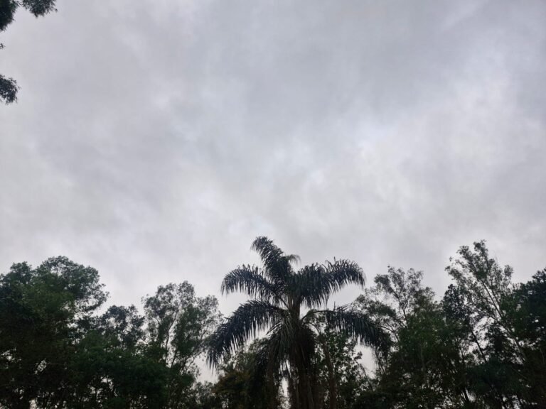 Com mínima de 7 ºC, última semana de julho pode ser a mais fria do ano em Juiz de Fora e região