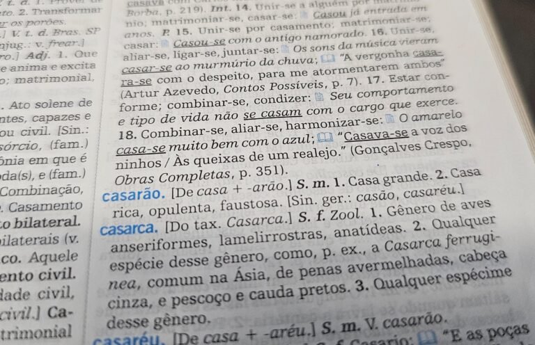 Aumentativos 'incomuns' de cão, gato e nariz viralizam; você acertaria? Faça o quiz e descubra