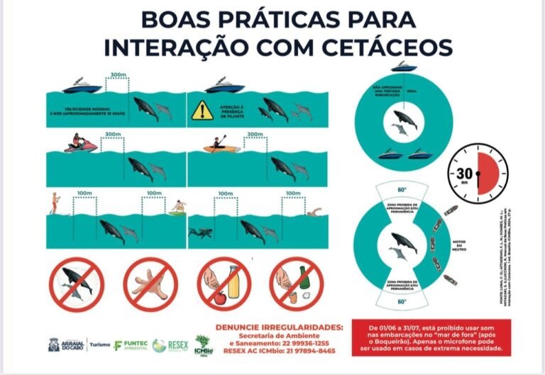 PF e ICMBio investigam baleia atingida por barco em Arraial do Cabo