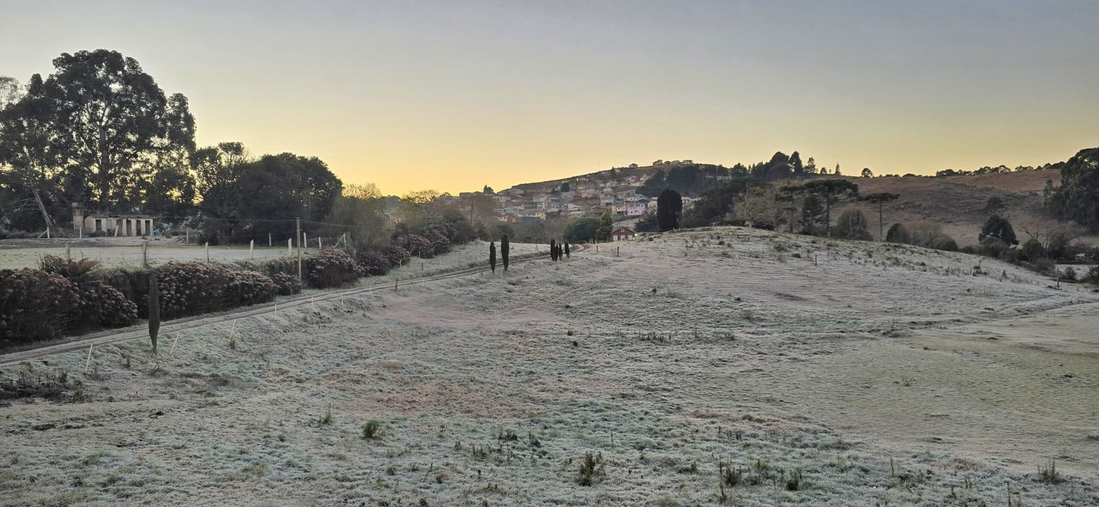 Frio de -4,5ºC em SC congela vidro de carro e 'caçador de frio' chega a surfar na geada; VÍDEO