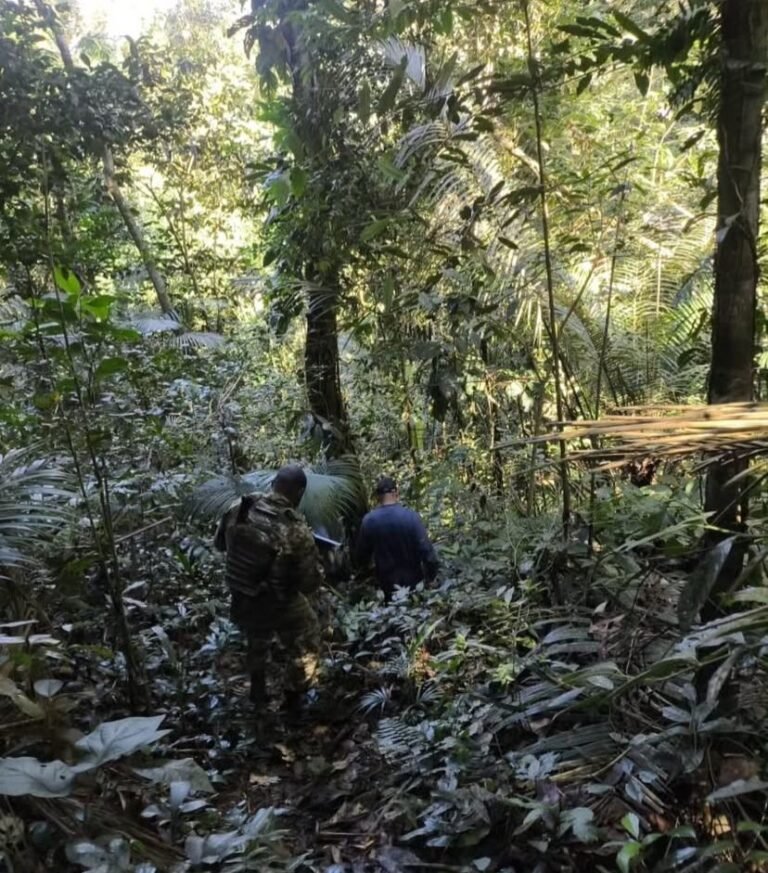 Homem é preso por caça ilegal de animais silvestres no Parque Estadual do Cunhambebe, em Angra dos Reis