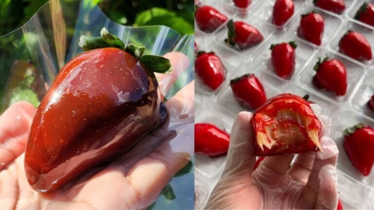‘O morango do amor salvou o meu mês’: doce impulsiona vendas de confeitarias na Grande Belém e ganha versões com sabores regionais