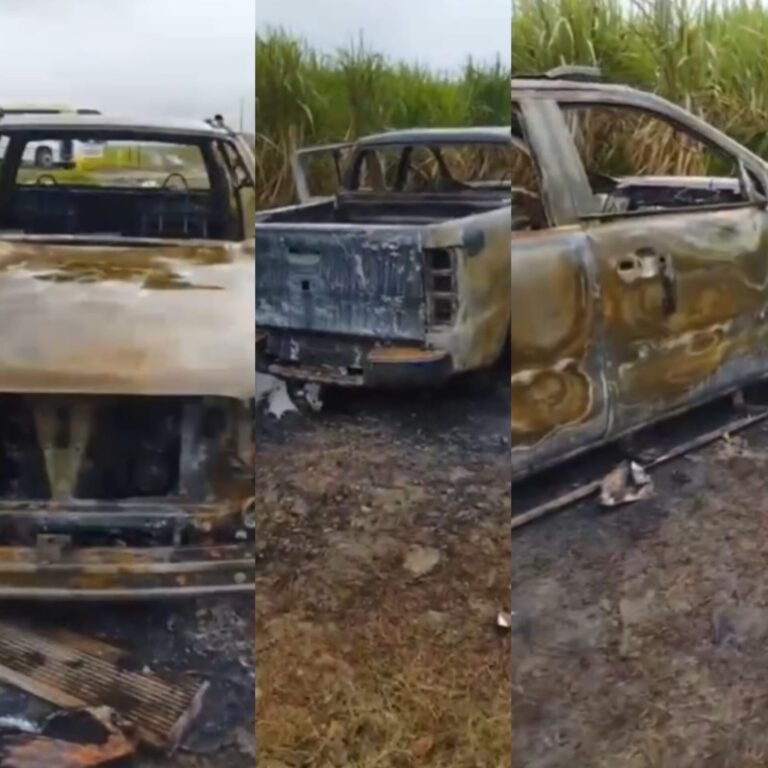 Corpo é encontrado em caminhonete queimada em canavial em AL