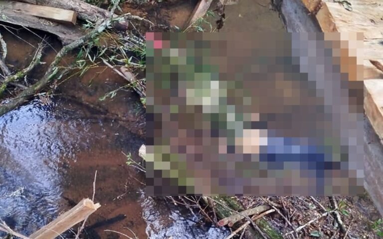 Jovem é indiciado por morte de mãe e idoso na zona rural de Jacuí, MG