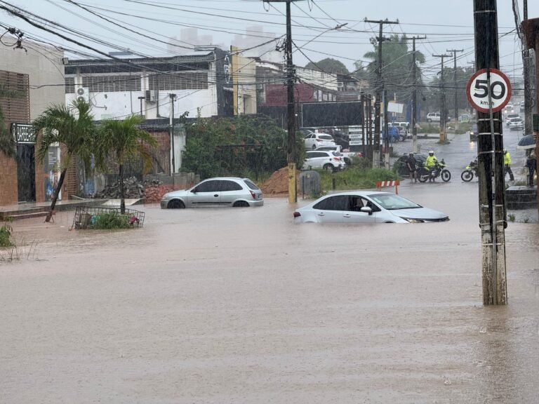 Chuvas causam queda de árvores, alagamentos e trânsito lento em Natal nesta sexta (15)